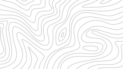 abstract wavy background. topographic contour background. contour lines background. Topographic map contour background.