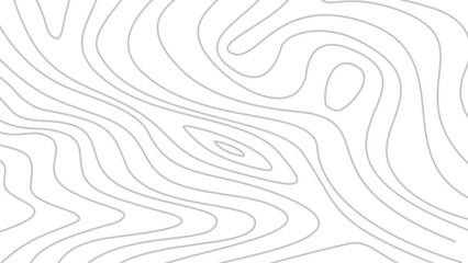 abstract wavy background. topographic contour background. contour lines background. Topographic map contour background.