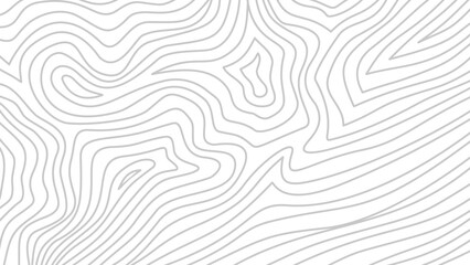 abstract wavy background. topographic contour background. contour lines background. Topographic map contour background.