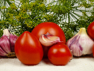 Red ripe tomatoes, heads of garlic and heap of green dill umbels placed on a white towel