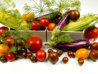 Multi-colored ripe tomatoes of different varieties, corn cobs, eggplants and green dill umbels placed in the white boxes on a white table