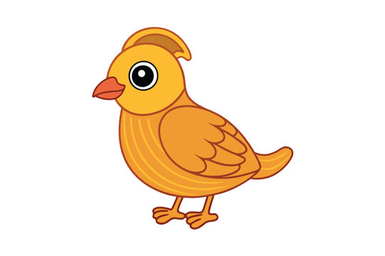 recommend clip art: Quail Bird Standing Color Vector Illustration. Colorful quail bird standing vector illustration.