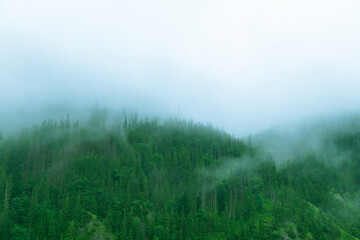 Fog over a green forest in the mountains. Overcast weather. Natural background. Tatra Mountains