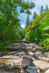 Rocky path in the mountains. Hiking in summer. Tatra Mountains