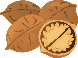 three nuts, and one nut open