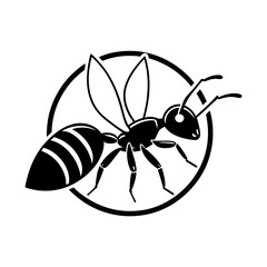 Ant Vector