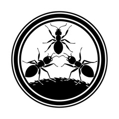 Ant Vector