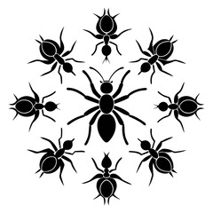 Ant Vector