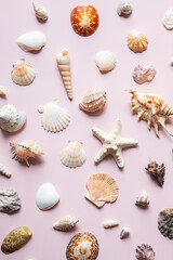 Collection of various seashells and starfish. Beach and summer concept