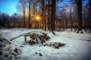 Zimowy poranek © Robert