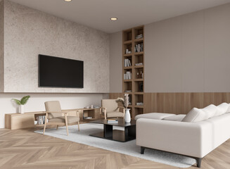 Modern home living room interior with couch and tv screen, shelf with decoration