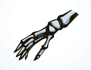 Vector drawing. Bones of the hand