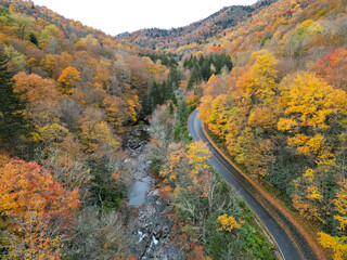 Aerial Drone View of Mountain Road outside of Asheville, North Carolina. Fall / Autumn Foliage Colors in the Appalachian Mountains.