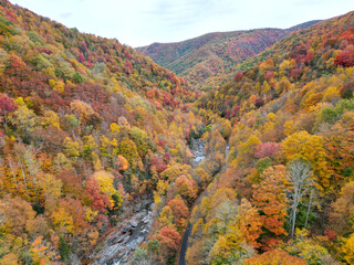 Aerial Drone view of River through valley during the autumn trees. Fall Leave foliage with vibrant color. 