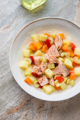 Beige plate with salmon and vegetable soup, vertical shot on a grey and roseate granite background, middle close-up, elevated view