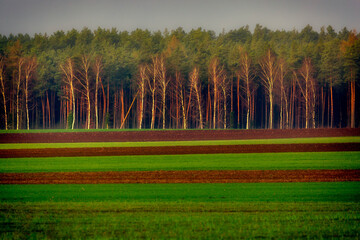 Pomorze