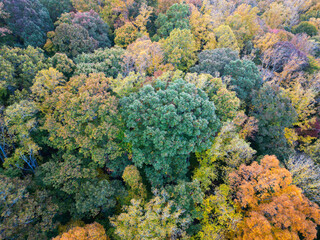 Aerial View of Autumn Fall trees in the valley. Drone view of vibrant colors in North Carolina.
