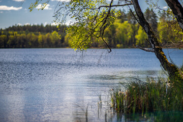 Pojezierze Drawskie © Robert