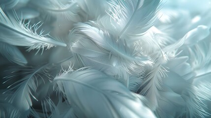 Fototapeta premium The image captures a close-up of soft white feathers, displaying their delicate and fluffy texture, which conveys a sense of lightness and purity.