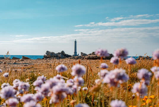 Phare de Goury Lighthouse - Normandy, France