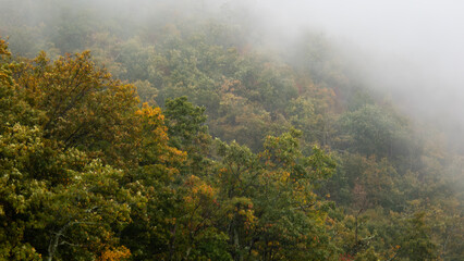 A foggy day in the mountains