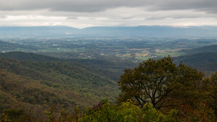A foggy day in the mountains