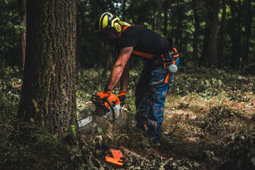Close-up of woodcutter sawing chain saw in motion, sawdust fly to sides. Chainsaw in motion. Hard...