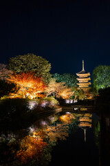 東寺の紅葉ライトアップ