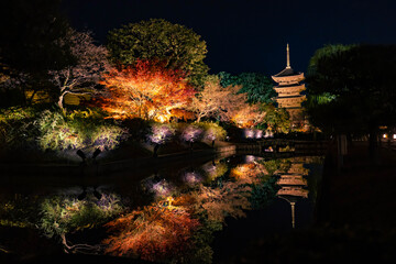 東寺の紅葉ライトアップ