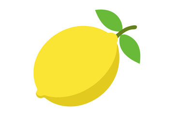 lemon isolated illustration vector