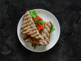 Delicious breakfast, tapas, snack - cottage cheese, green salad, salmon, whole grain bread sandwiches  on a dark background