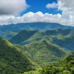 Fototapeta premium Chagres National Park