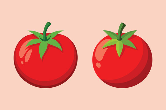 red tomato vector illustration