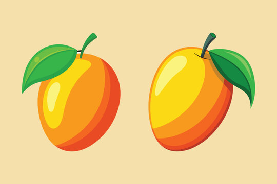 mango vector