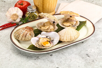 Raw fresh scallops in the shell