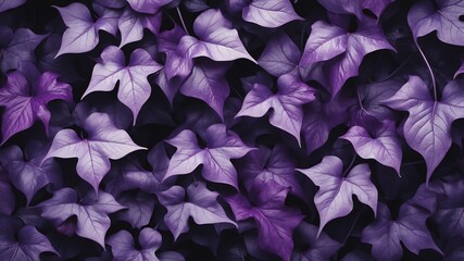 purple ivy leaves abstract background art design