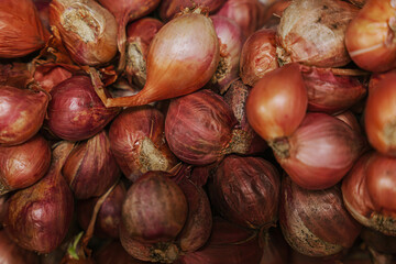 Shallots, fresh vegetables from the market