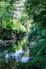 渓谷の綺麗な川の流れ