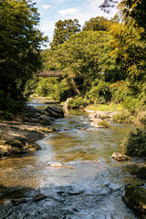 渓谷の綺麗な川の流れ