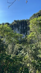 Piedra en bosque natural divina y cielo azul