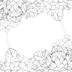 Vector tropical template with proteas, leaves, and plumerias flowers. Freehand drawing, arrangements, background. Black circuit silhouette