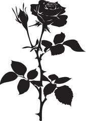 Rose silhouette with leaves black and white 