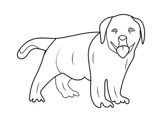 Labrador Puppy dog Coloring page or Book for kids. Labrador puppy outline vector illustration