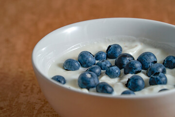 White bowl of yoghurt with blueberries isolated on brown