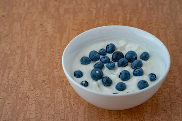 White bowl of yoghurt with blueberries isolated on brown