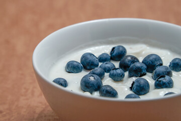 White bowl of yoghurt with blueberries isolated on brown