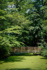 Troisdorf, Germany Wooden bridge in the park of Burg Wissem