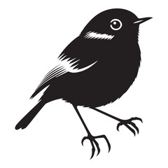 Bird silhouette Vector art illustration eps