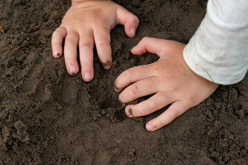 chil hands planting seeds in the dirt