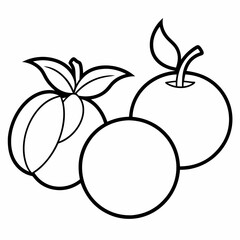 Fruits  Silhouette Vector illustration